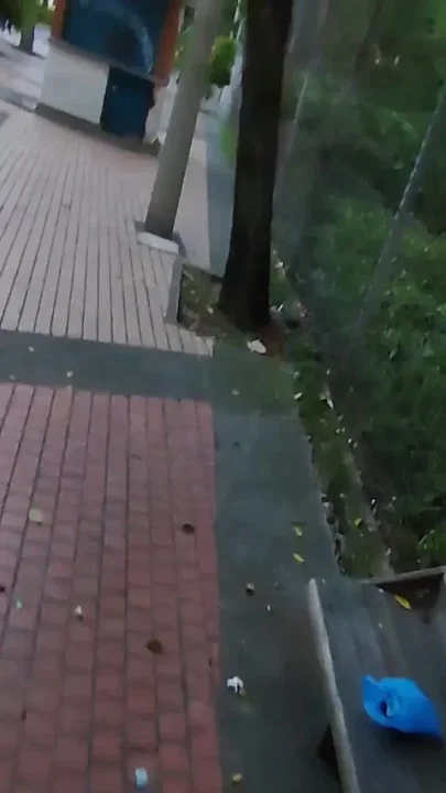 Colombian Woman Has Sex in Public with a Tourist