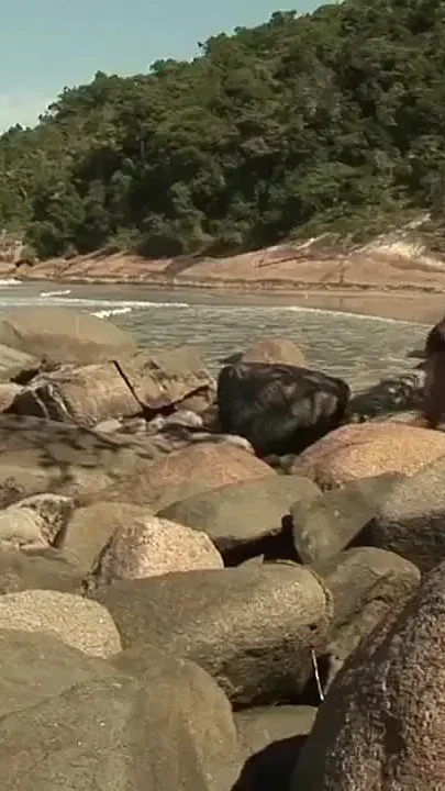 Latino fucked raw on the beach