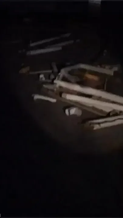 Skinhead Pig Fucked