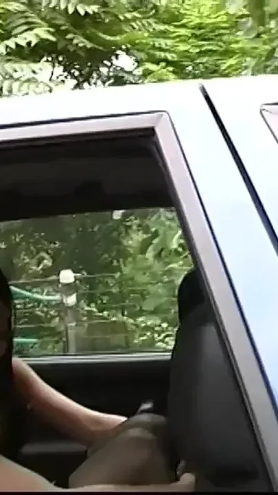 The Bitch in the Usual Place