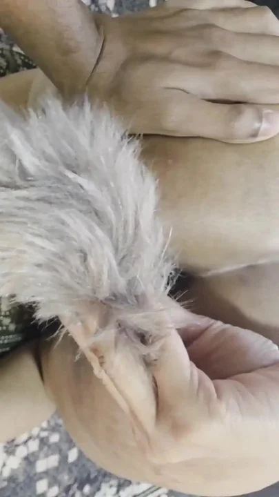 Play with Butt Plug Tail Clip 1