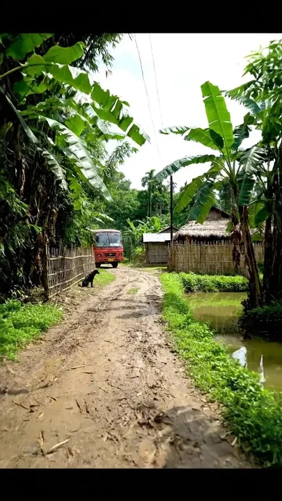A bust run Rong road