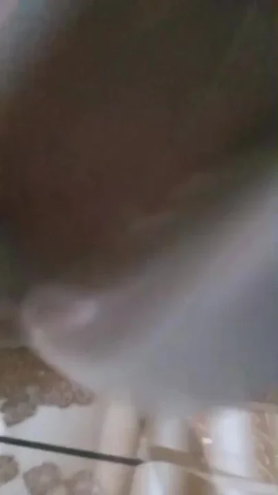 Thrilling moment from 
