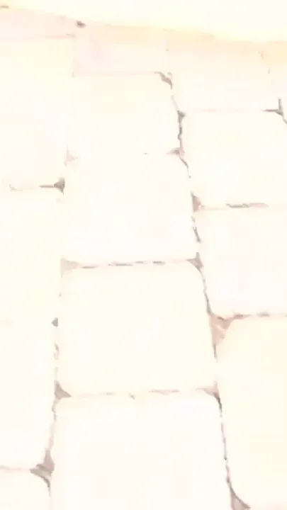 Jada Fire Loves Big White Dick in Her Ass