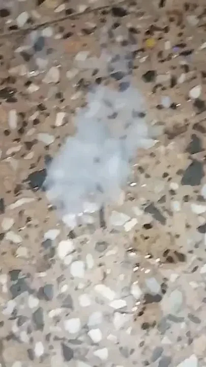 My Penis Drop Sperm Me Fucking Wife Pussy