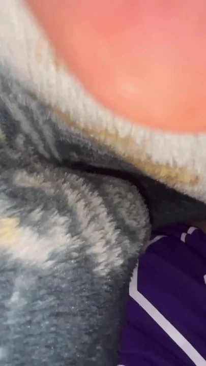 In the bed we rock Clip 2