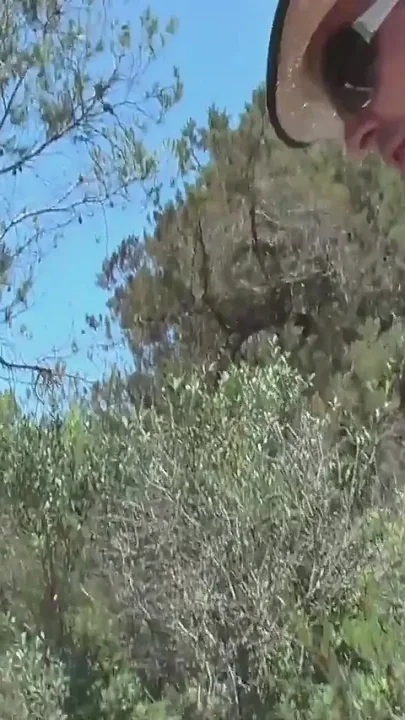 A Spanking in the Cunt Near the Beach at Malle