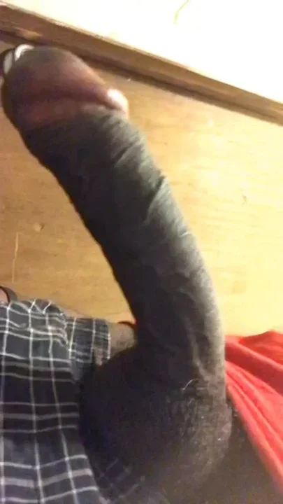 Big Black Cock Bounces Close up