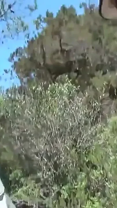 Fucking a Slutty Whore in Mallorca