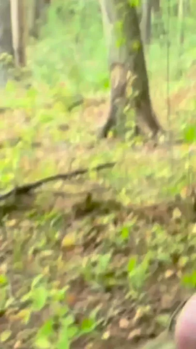 Fun Time Outside Pissing Cock Sucking & Cum