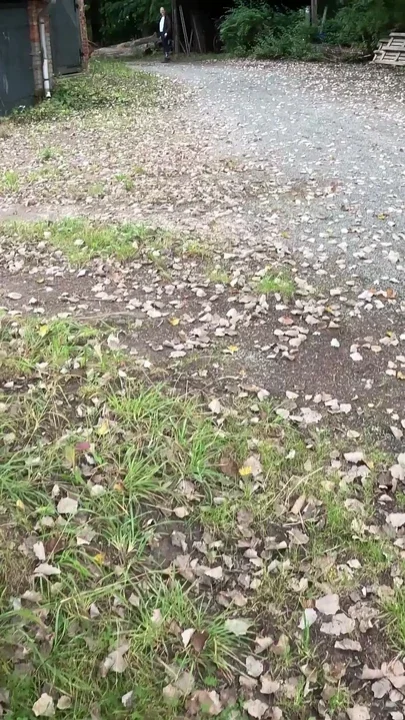 A Piss in the Middle of the Riding Stable