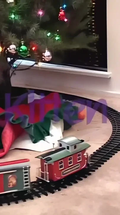 The Pussy Carried by Santa Claus