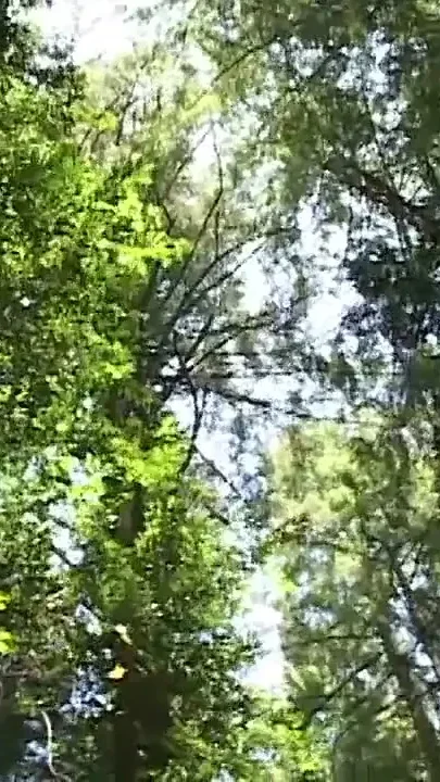 Hard Mountain Wanderin' Delight 2