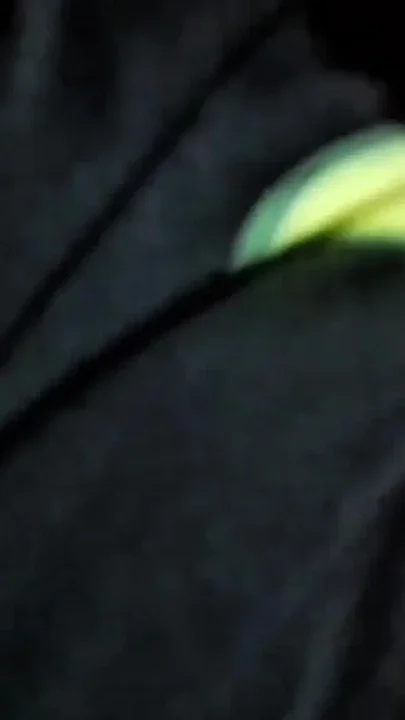 You like my big ass Clip 1