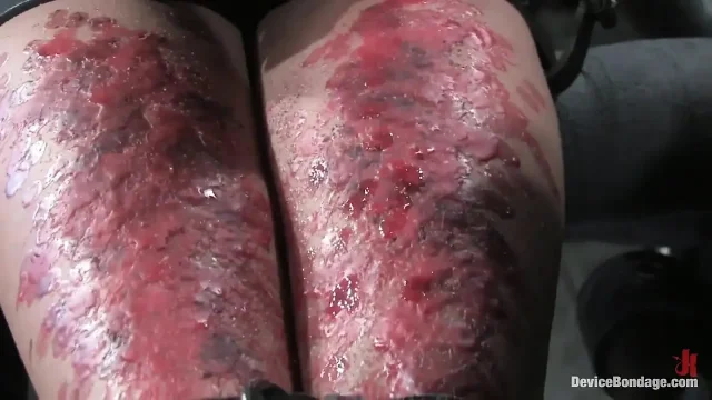 Bonus Update Part 2 of the Nov Live Feed
