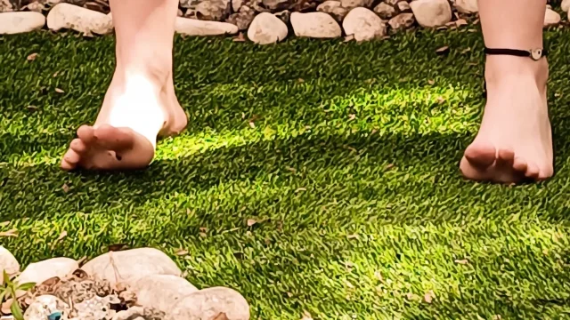 Tickle in My Garden