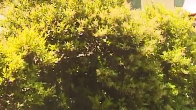Versaute Fantasie läuft komplett aus dem Ruder wenn