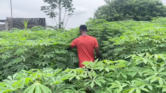 Shocking Wood