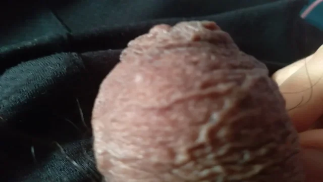 King cock needs your ass