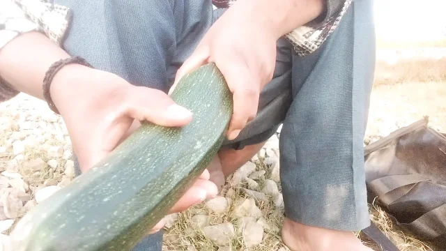 Ass fuck big cock vegiteble