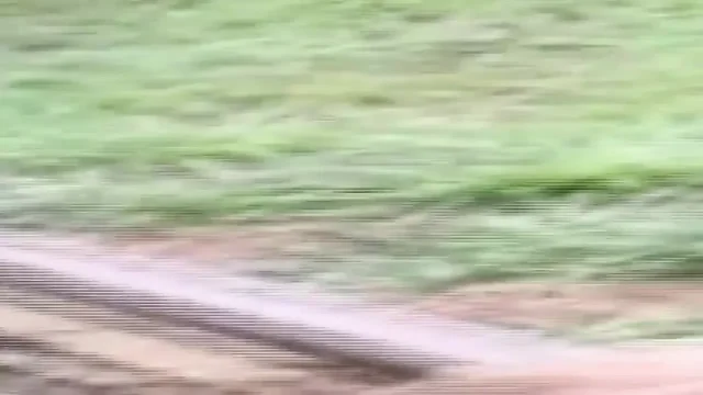 Hardcore Clip Seven Sluts Screaming in XXX Orgy Overdrive