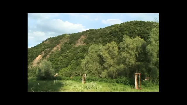 Slut Fucked Well Outdoors
