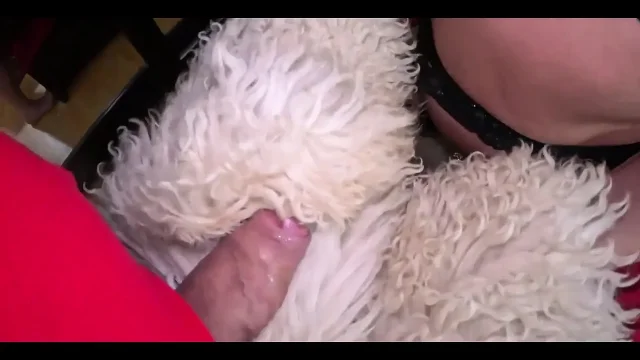 Face fucking and Cum Play with Sexy Rugs 272