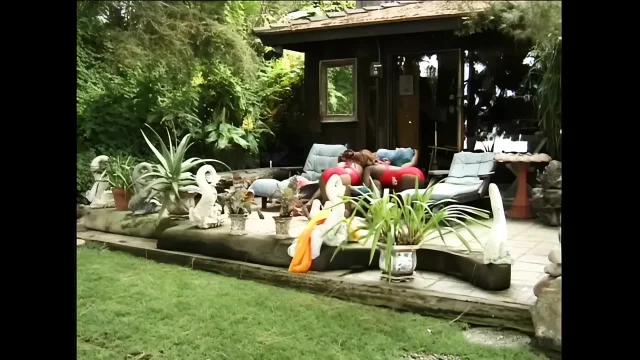 Two Beautiful Black Girls Suck Cock