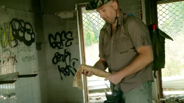 ass fuck in the wild always deep inside