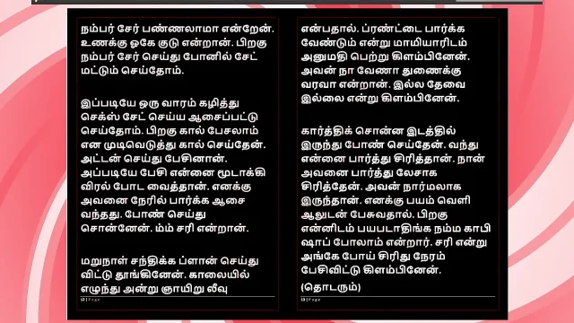Tamil Sex Story - Auditor Aiysha's Sex Experiences part 2