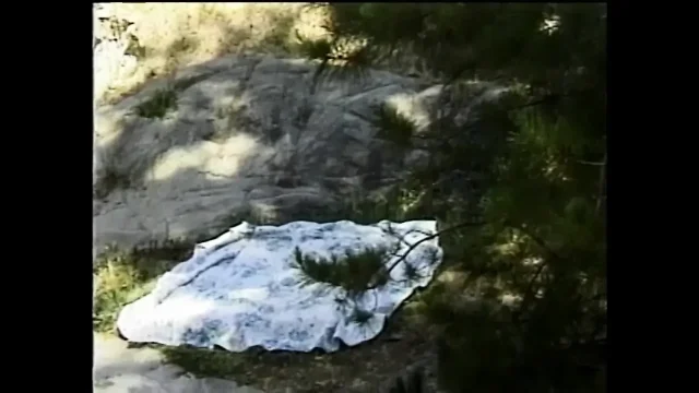 Picnic with Lover