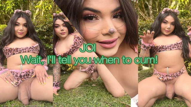 JOI Wait I Ll Tell You When to Cum