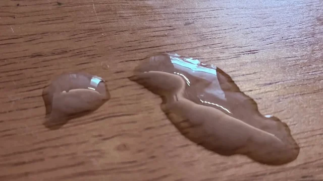 Xmas wank toy slomo