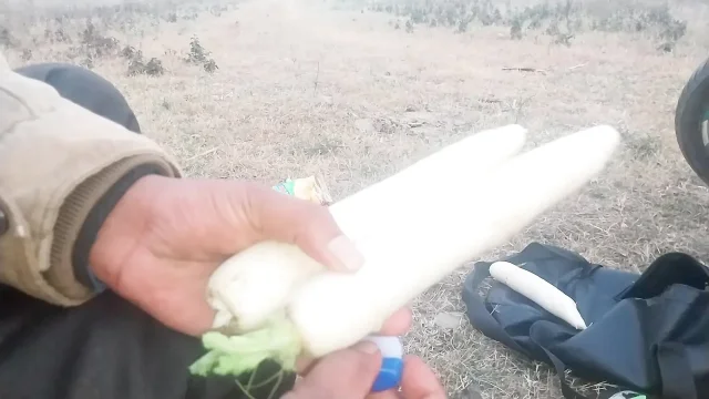 Inserted two radishes into the ass simultaneously