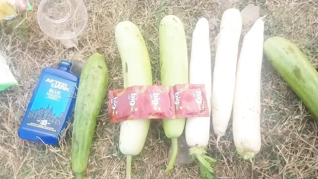 Big vagiteble gay fuck injoy huck toy fuck my ass