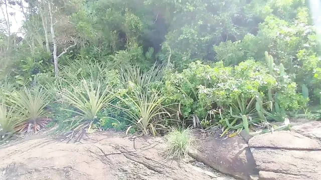 Showed off on the Rock on the Beach and the Fisherman Almost Caught Me