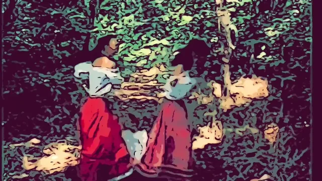 Vintage Fuck the Humble Maid and the Charming General