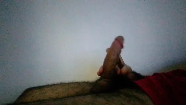 My dirty penis for all the bitches