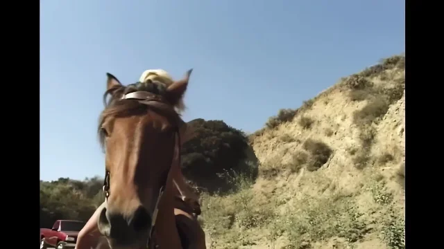 Hard Love for a Wild Princess