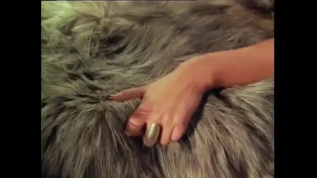 Sexy Brunette Gets Baned in Vintage Fuck