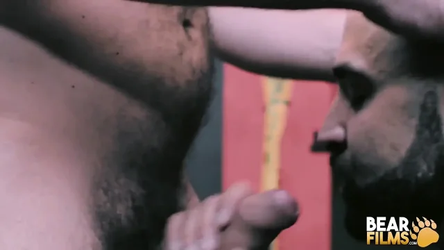 Bearfilms Bearded Gay Marc Giacomo Takes Atlas Grant Hard Cock After Oral