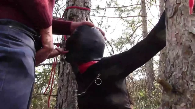 Outdoor sex in the wood Wearing sexy clothes and high heels bound throated and fucked