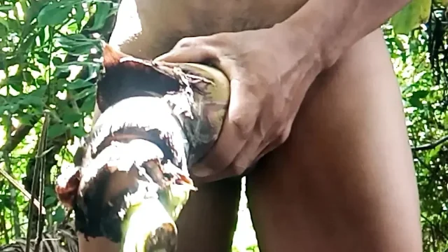The Tight Hole of the Banana Tree Is Delicious