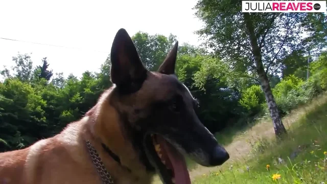 Anal fuck in the forest there is loud moaning and screaming