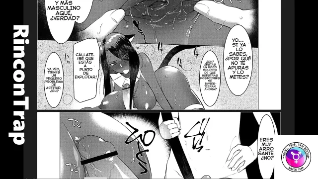 mis trans cap 05