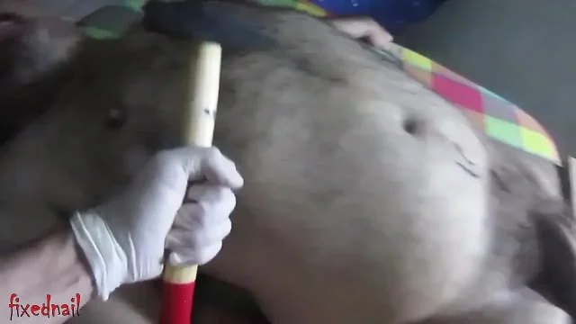 nails the balls