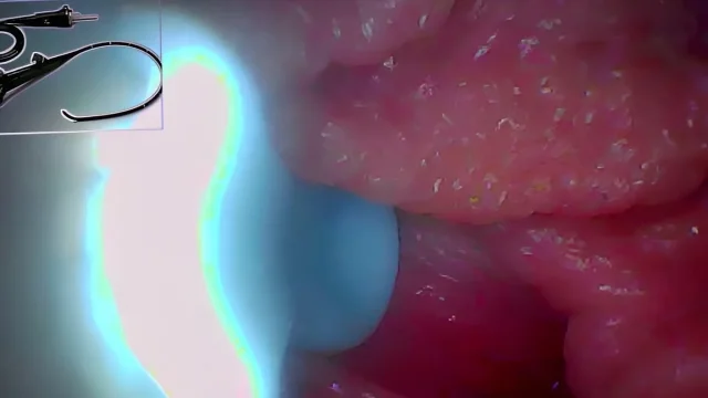 Exclusive Camera Goes Inside We Found My spot and Captured 5 Orgasms