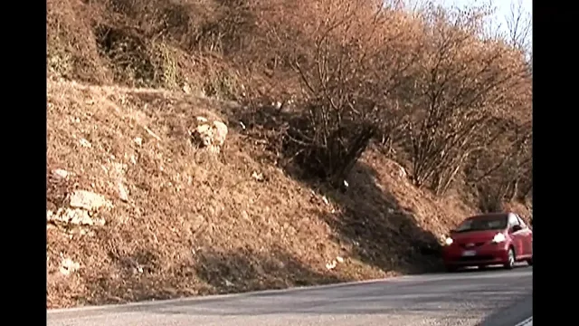 Hot Blonde MILF Caught in the Countryside While She's Pissing and Ass Fucked