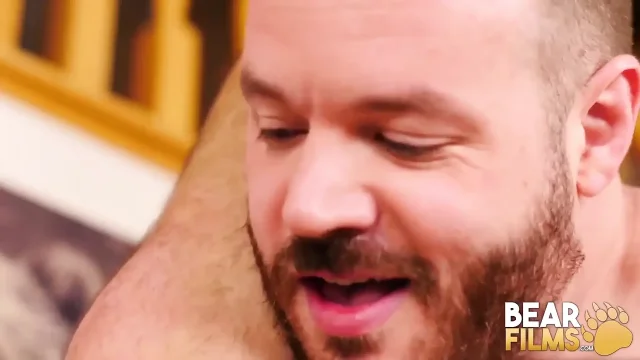 BEARFILMS fat hairy bears rex blue and john thomas raw breed