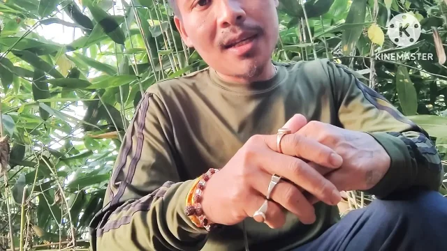 Jungle ka andar mein ghumne ke liye